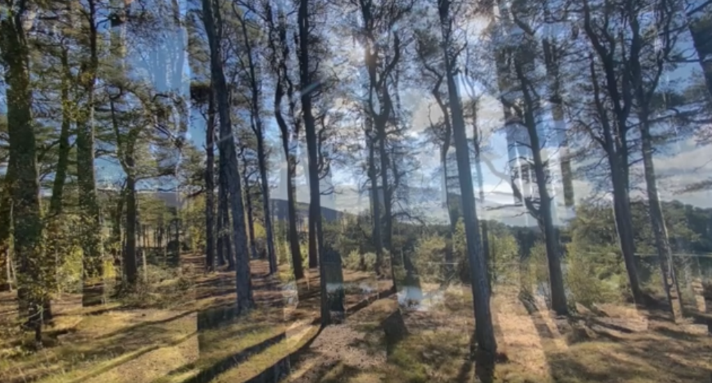 Landscape Postcard series